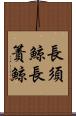 長須鯨 Scroll