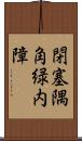 閉塞隅角緑内障 Scroll