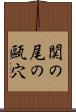関の尾の甌穴 Scroll