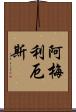 Amelius Scroll