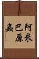 阿米巴原蟲 Scroll