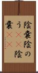 陰嚢 Scroll
