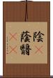 陰(P) Scroll