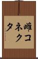 雌コネクタ Scroll