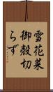 雪花菜 Scroll
