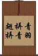 青羽挵 Scroll