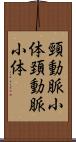 頸動脈小体 Scroll