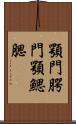 顎門 Scroll