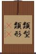 類型 Scroll