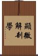 顯微解剖學 Scroll