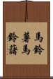 馬鈴薯 Scroll