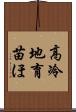 高冷地育苗ほ Scroll