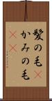 髪の毛(P) Scroll