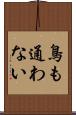 鳥も通わない Scroll