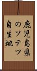 鹿児島県のソテツ自生地 Scroll