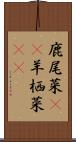 鹿尾菜(rK) Scroll