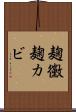 麹黴 Scroll