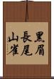 黑眉長尾山雀 Scroll