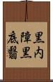 黒内障 Scroll