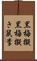 黒梅擬 Scroll