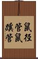 鼠径管 Scroll
