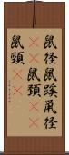 鼠径 Scroll