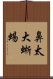 鼻太大蜥蜴 Scroll