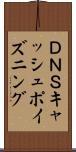 ＤＮＳキャッシュポイズニング Scroll