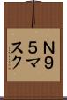 Ｎ９５マスク Scroll