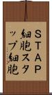 ＳＴＡＰ細胞 Scroll