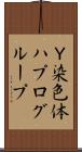 Ｙ染色体ハプログループ Scroll