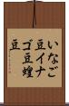 いなご豆 Scroll