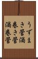 うずまき管 Scroll