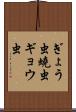 ぎょう虫 Scroll