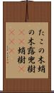 たこの木 Scroll