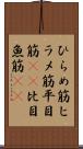 ひらめ筋 Scroll