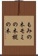 もみの木 Scroll