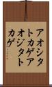 アオシタトカゲ Scroll