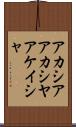 アカシア Scroll