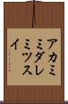アカミミダレミツスイ Scroll