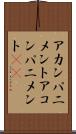 アカンパニメント Scroll