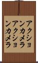 アクションカメラ Scroll