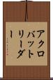 アクロバットリーダー Scroll