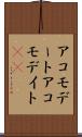 アコモデート Scroll