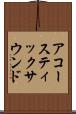 アコースティックサウンド Scroll