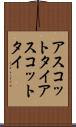 アスコットタイ Scroll
