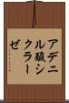 アデニル酸シクラーゼ Scroll