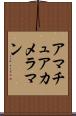 アマチュア・カメラマン Scroll