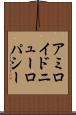 アミロイドニューロパシー Scroll