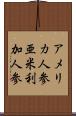 アメリカ人参 Scroll